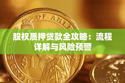 北京股权质押贷款全攻略：流程详解与风险预警