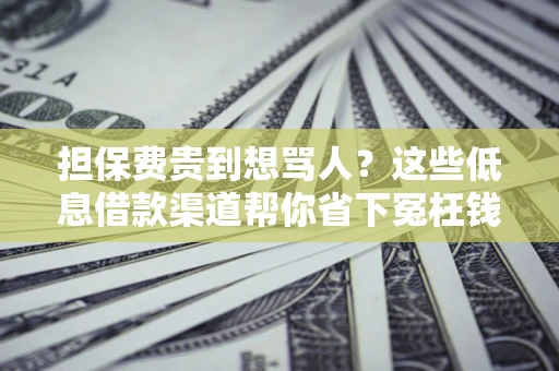 北京担保费贵到想骂人？这些低息借款渠道帮你省下冤枉钱