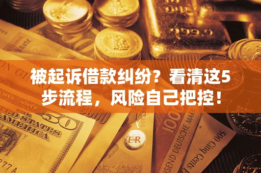 北京被起诉借款纠纷？看清这5步流程，风险自己把控！